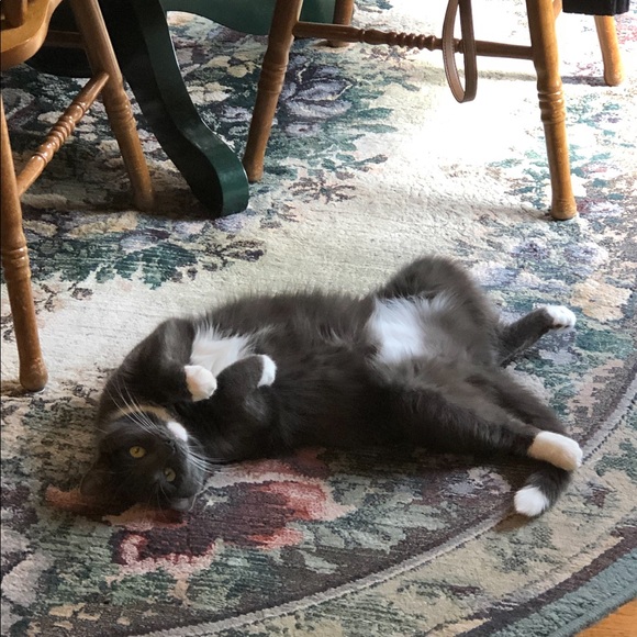 Fiona, My Posh Helper - Picture 8 of 10